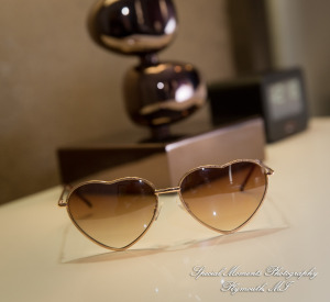 Kristin & Matthew at Embassy Suites by Hilton Livonia MI wedding photograph