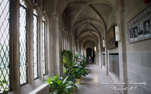 Kristin & Matthew at Blessed Sacrament Cathedral Detroit MI wedding photograph