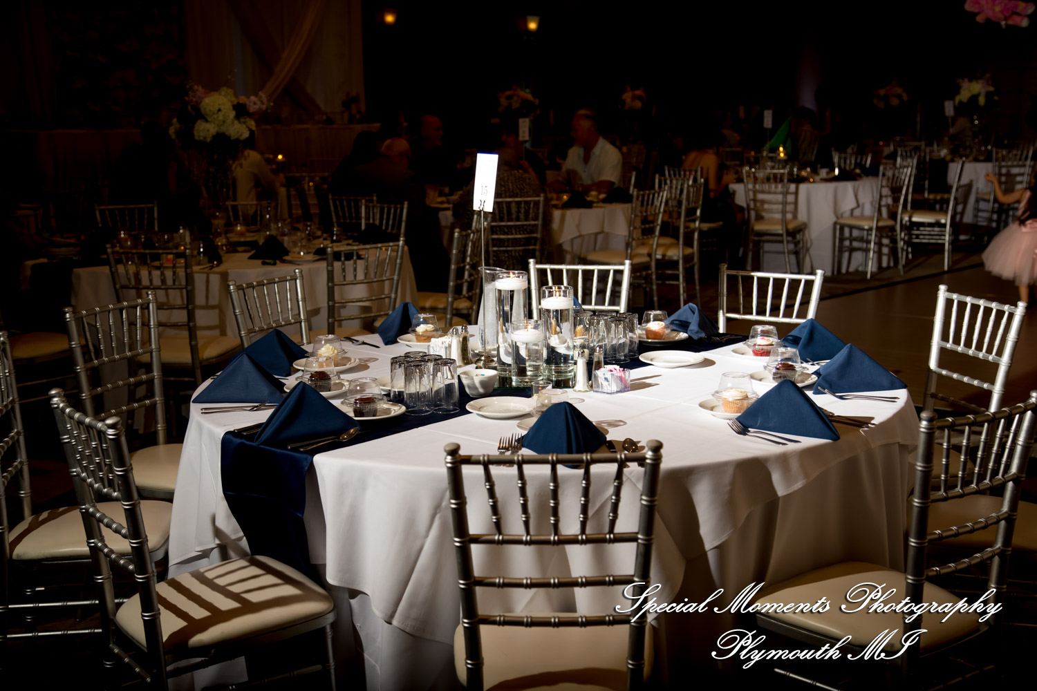 Ariana & Jeffrey DoubleTree Hilton Hotel Bay City MI wedding photography