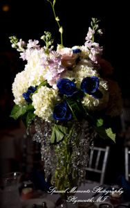 Ariana & Jeffrey DoubleTree Hilton Hotel Bay City MI wedding photography