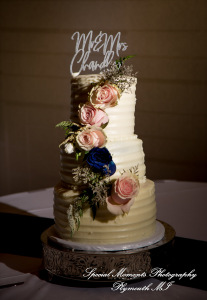 Ariana & Jeffrey DoubleTree Hilton Hotel Bay City MI wedding photography