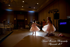 Ariana & Jeffrey DoubleTree Hilton Hotel Bay City MI wedding photography