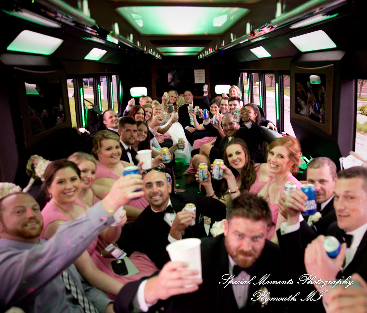 Kristin & Matthew at St. Mary Cultural Center Livonia MI wedding photograph