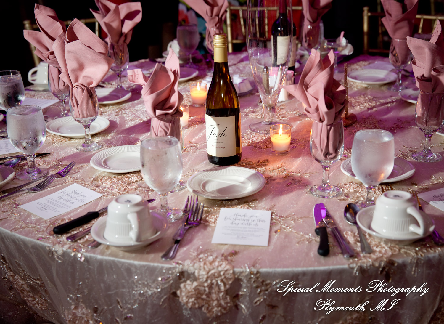 Kristin & Matthew at St. Mary Cultural Center Livonia MI wedding photograph