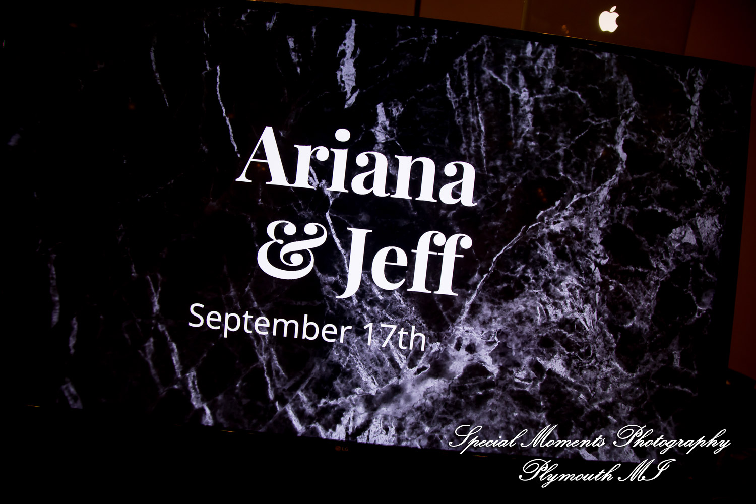 Ariana & Jeffrey DoubleTree Hilton Hotel Bay City MI wedding photography