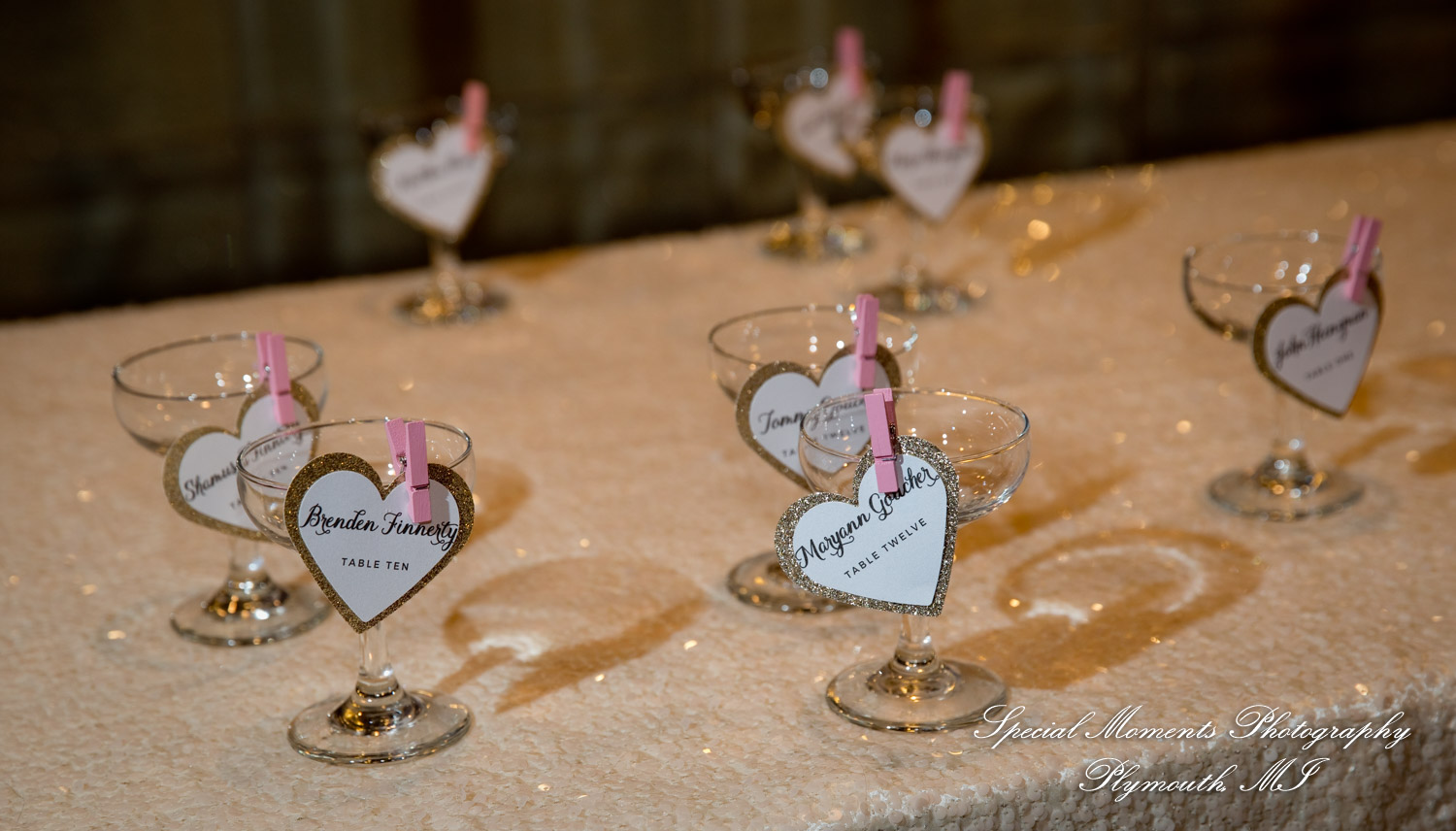 Kristin & Matthew at St. Mary Cultural Center Livonia MI wedding photograph