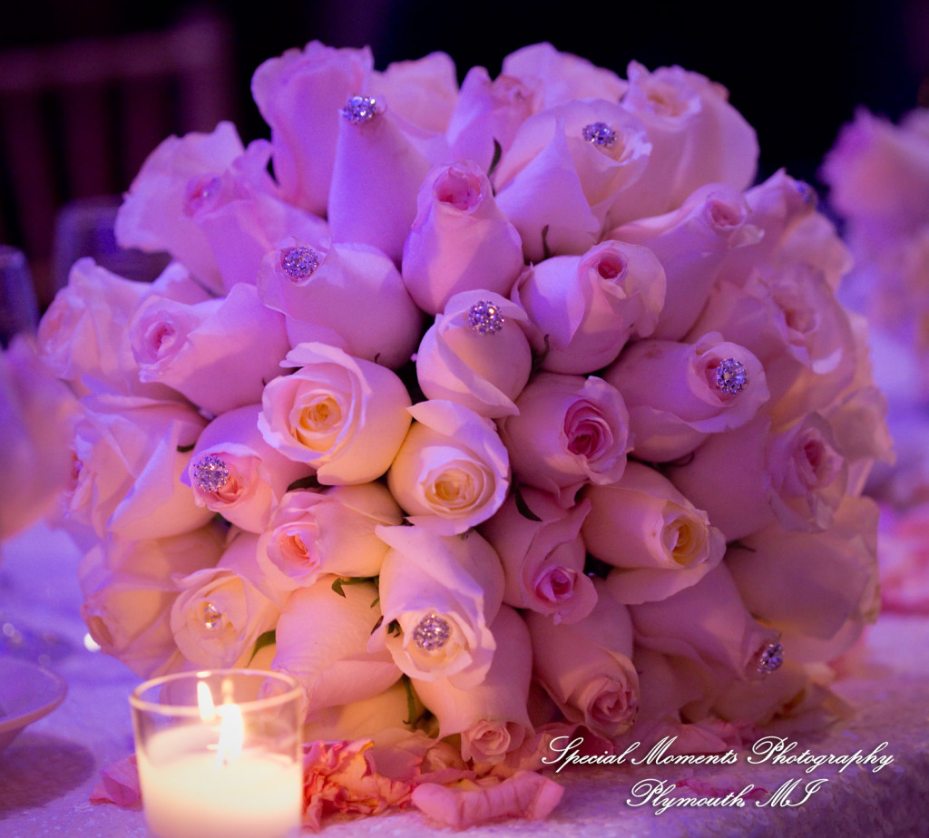 Kristin & Matthew at St. Mary Cultural Center Livonia MI wedding photograph