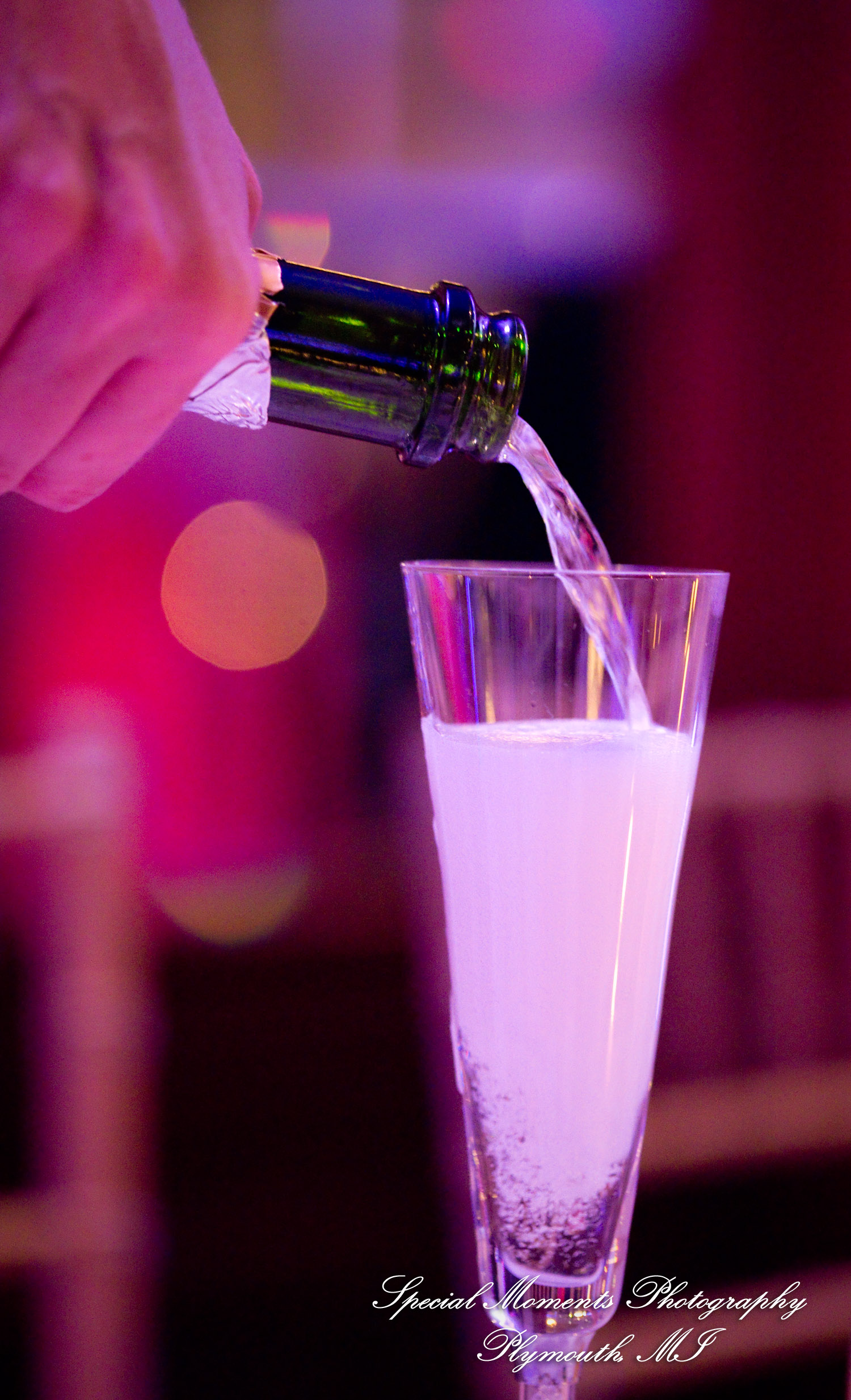 Kristin & Matthew at St. Mary Cultural Center Livonia MI wedding photograph