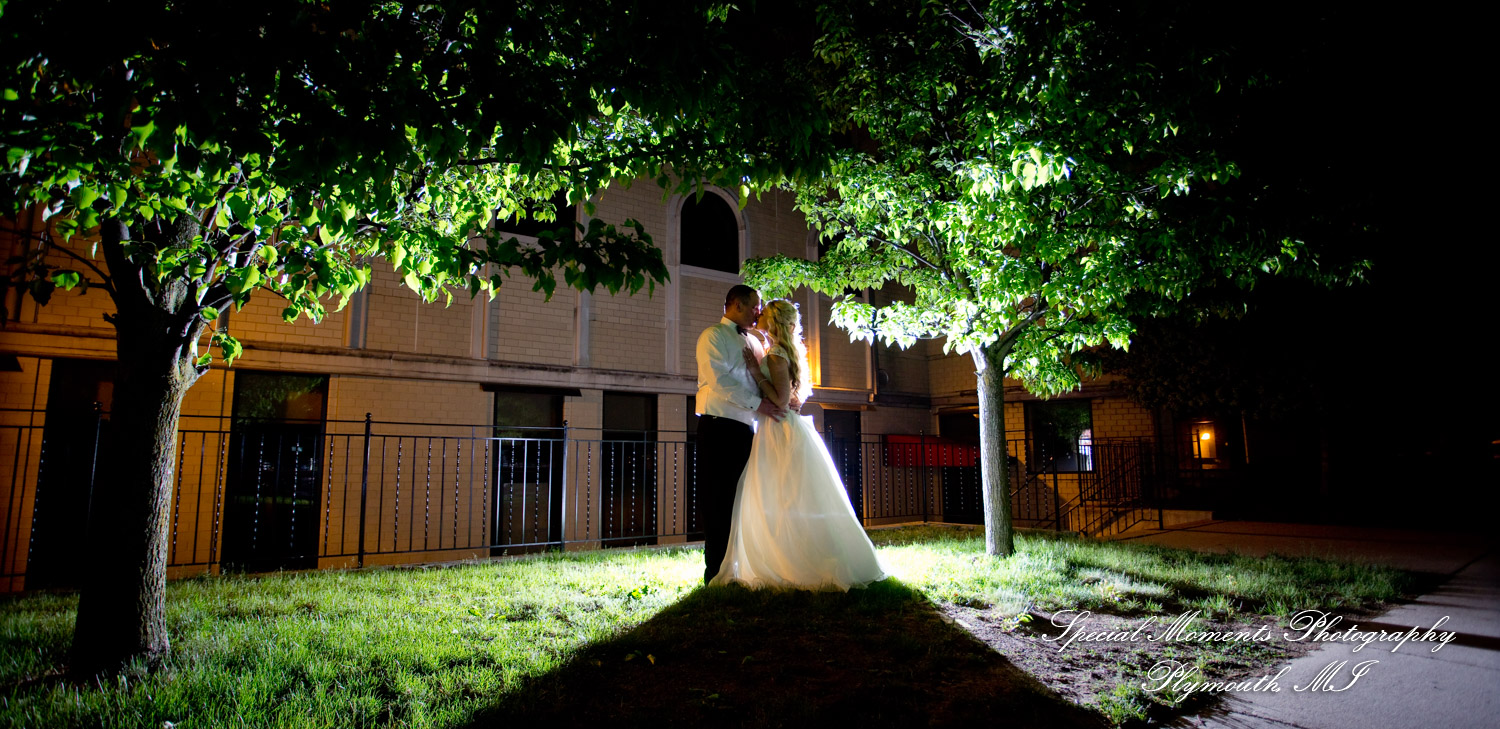 Kristin & Matthew at St. Mary Cultural Center Livonia MI wedding photograph