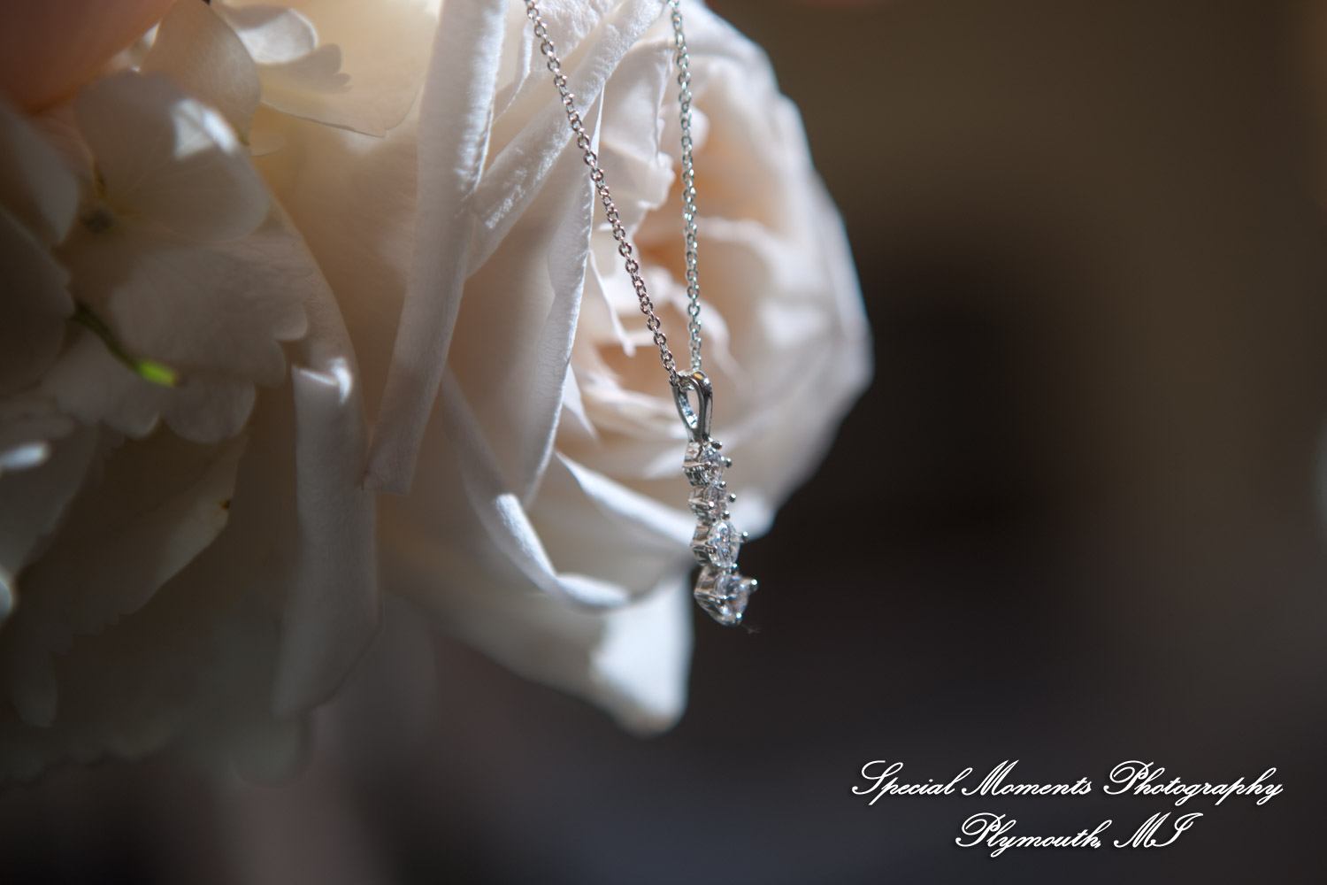 Amy & Alexander at Crosspointe Christian Church Grosse Pointe Woods MI wedding photograph