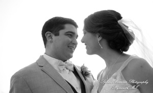 Amy & Alexander at Blossom Heath Inn St. Clair Shores MI wedding photograph