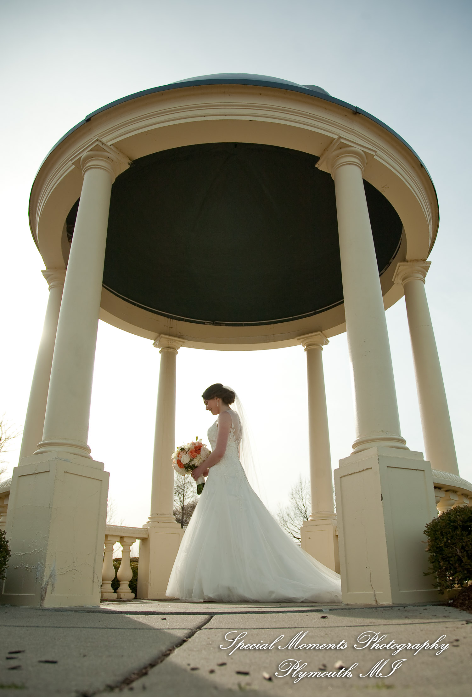 Amy & Alexander at Blossom Heath Inn St. Clair Shores MI wedding photograph