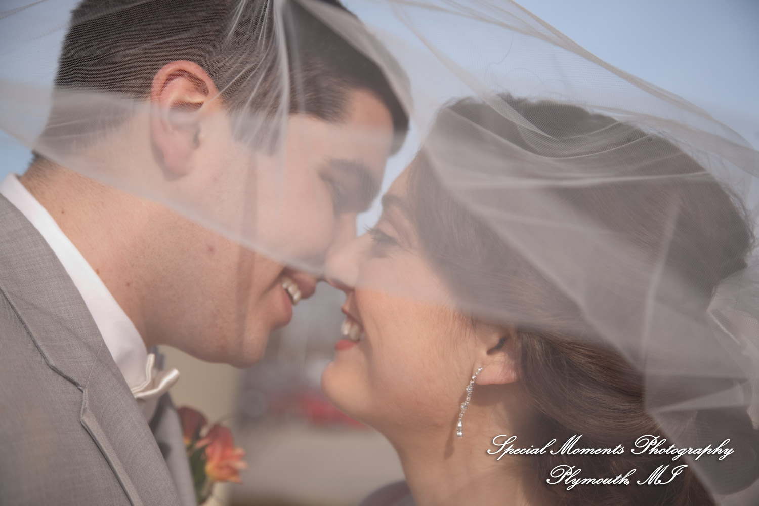 Amy & Alexander at Blossom Heath Inn St. Clair Shores MI wedding photograph