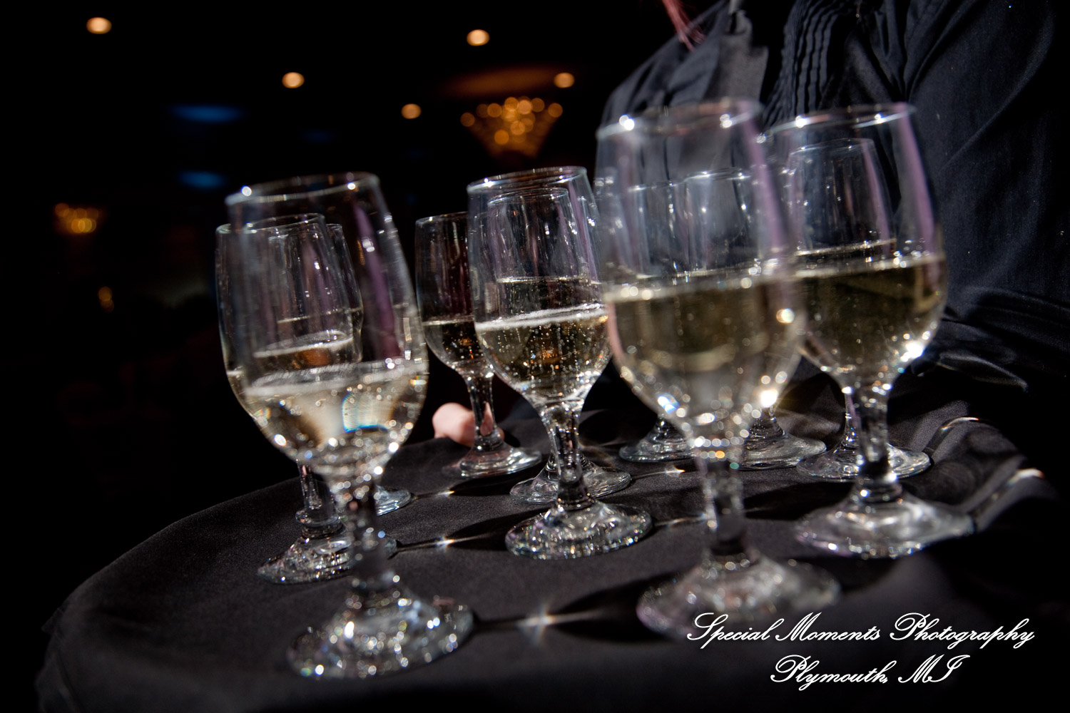 Amy & Alexander at Barrister Garden St. Clair Shores MI wedding photograph