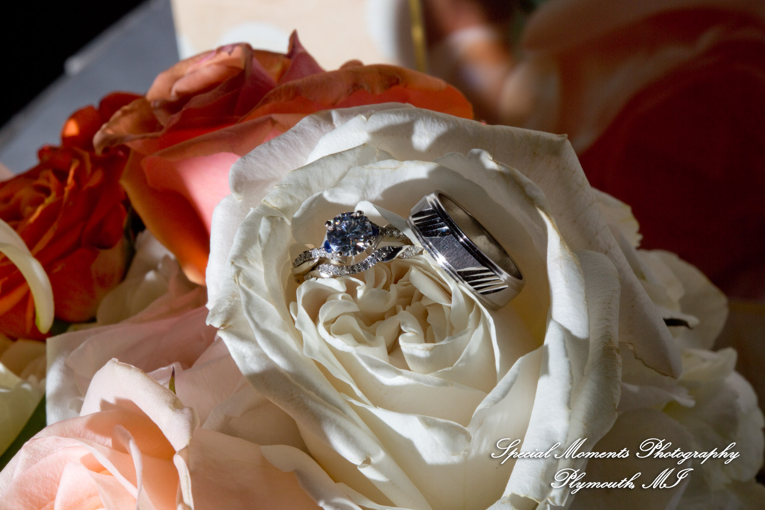 Amy & Alexander at Barrister Garden St. Clair Shores MI wedding photograph