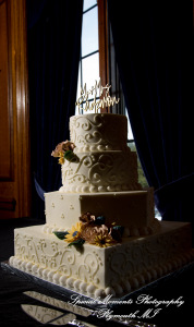 Kylie & Joshua Canterbury Castle Lake Orion MI wedding photography