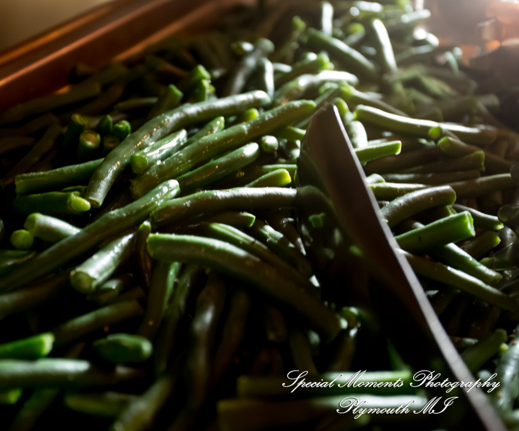 Kylie & Joshua Canterbury Castle Lake Orion MI wedding photography