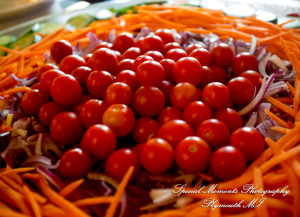 Kylie & Joshua Canterbury Castle Lake Orion MI wedding photography