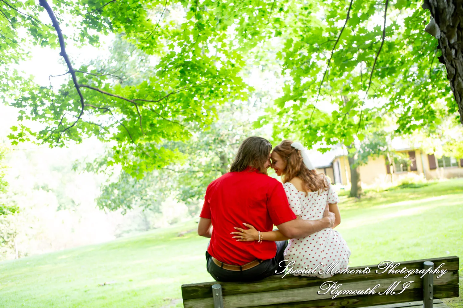Kira & Seth at Heritage Park Farmington Hills MI engagement photograph