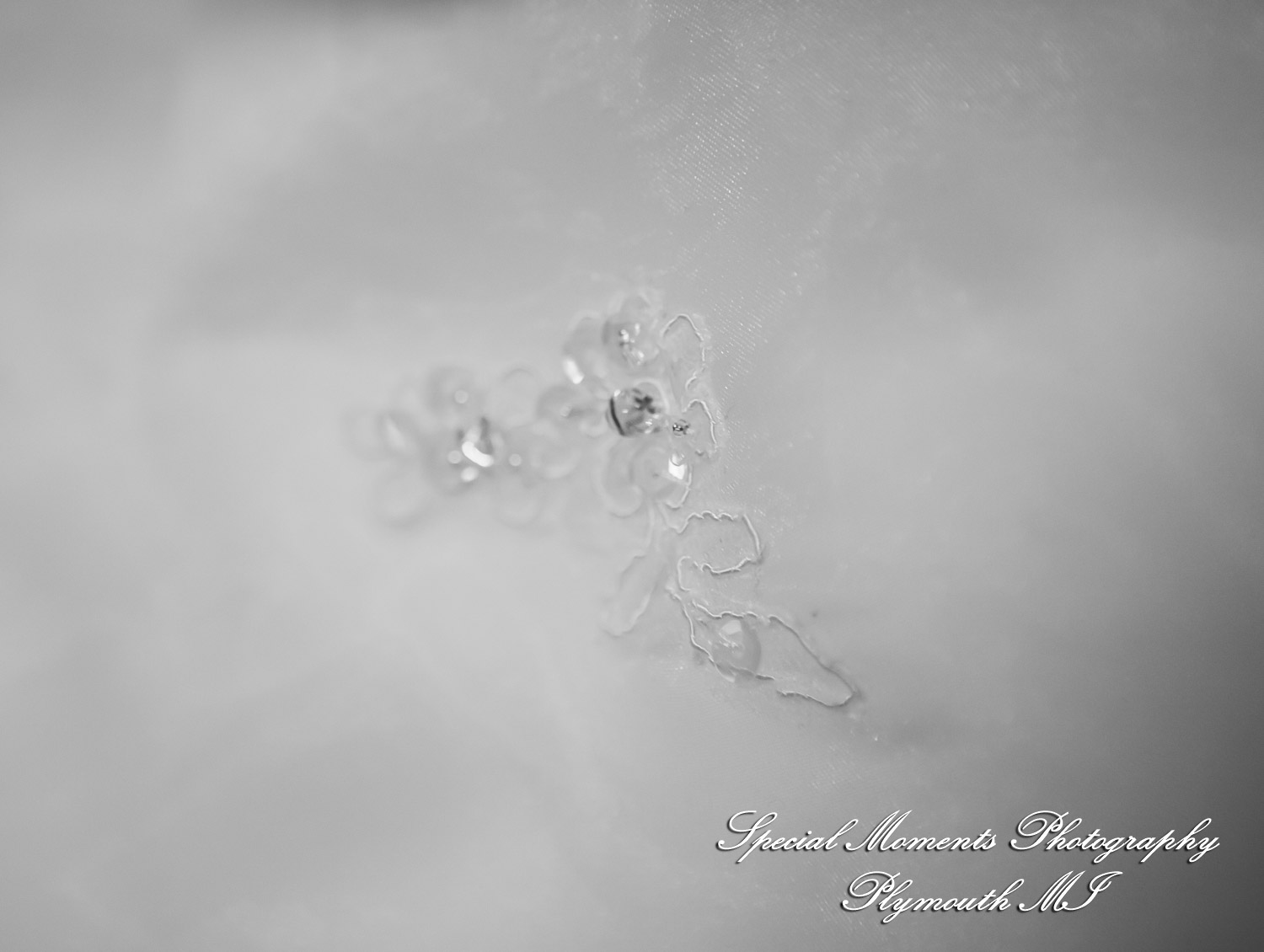 Azalia United Methodist Church Azalia MI wedding photograph