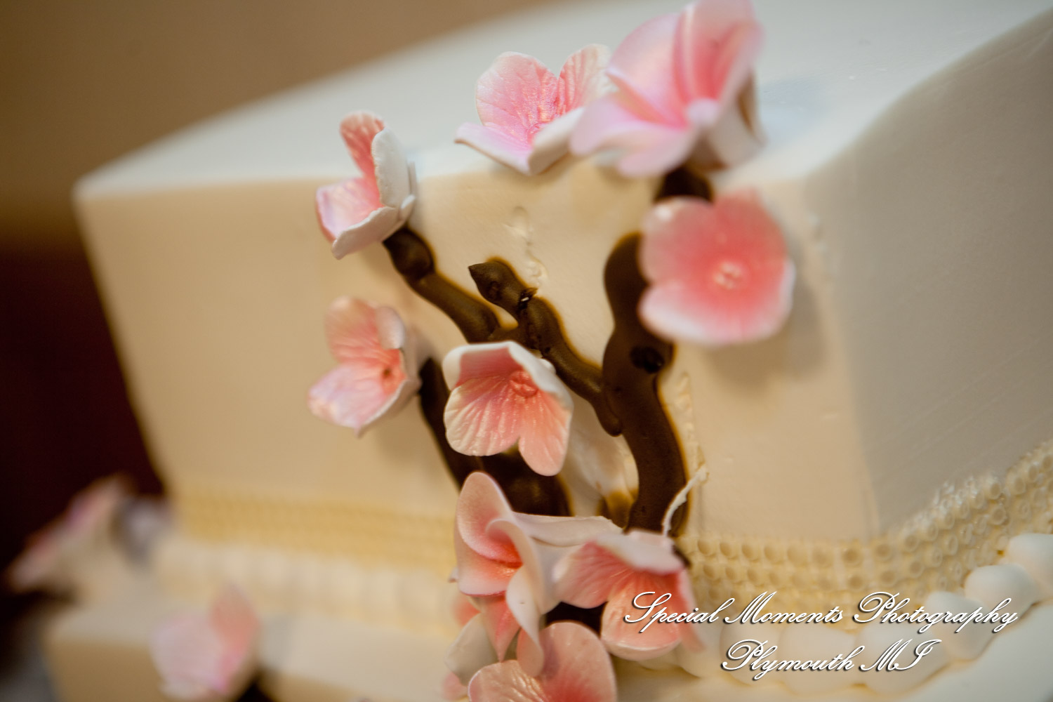 Azalia United Methodist Church Azalia MI wedding photograph