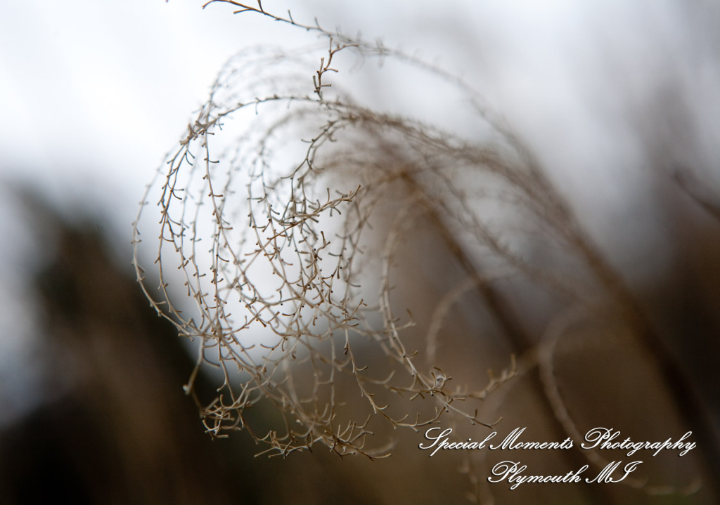 Azalia United Methodist Church Azalia MI wedding photograph