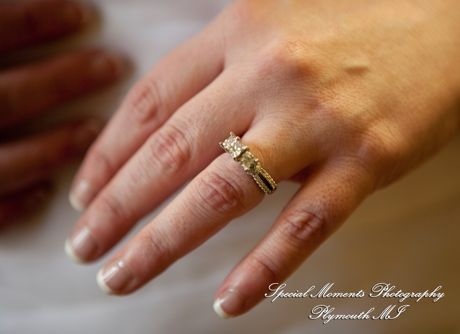 Azalia United Methodist Church Azalia MI wedding photograph