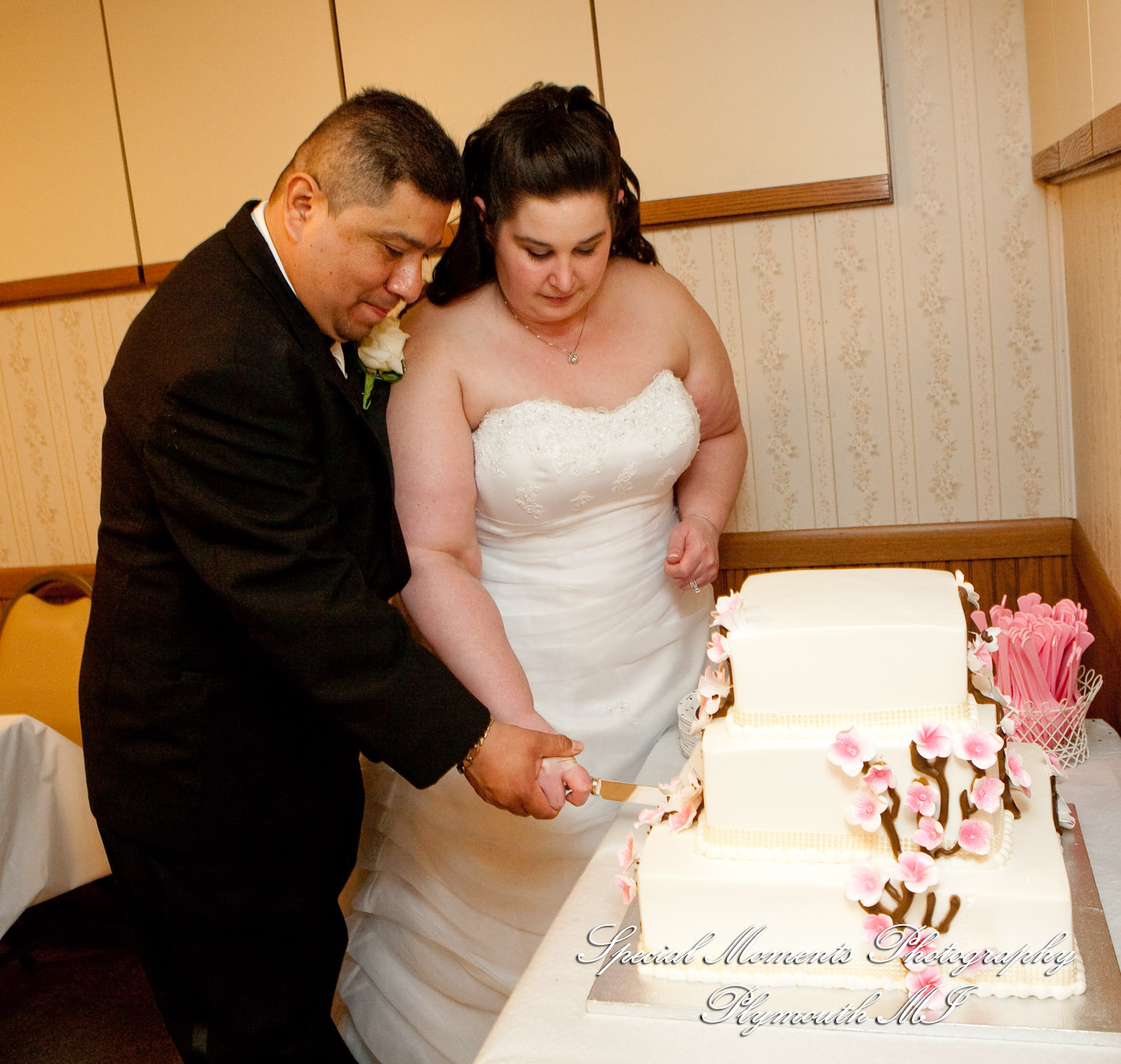 Azalia United Methodist Church Azalia MI wedding photograph