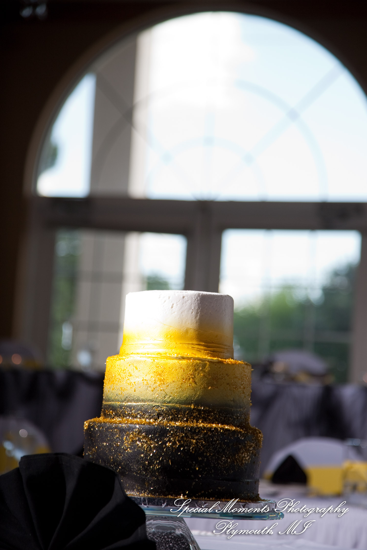 Kelly & Ryan at Italian American Club Livonia MI wedding photograph