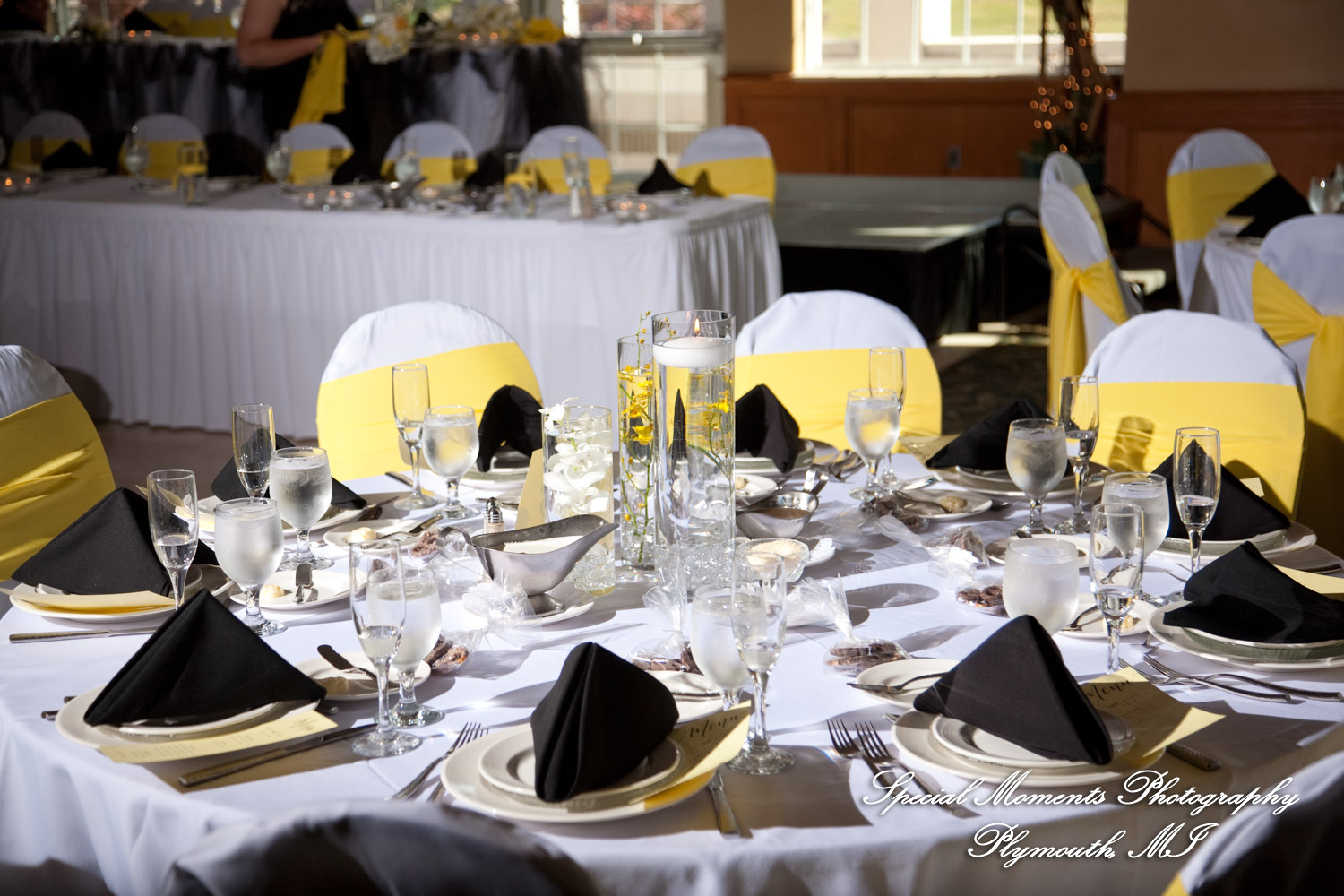 Kelly & Ryan at Italian American Club Livonia MI wedding photograph