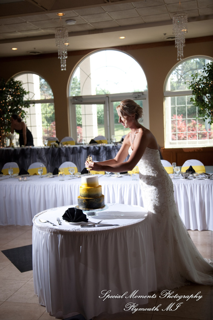 Kelly & Ryan at Italian American Club Livonia MI wedding photograph