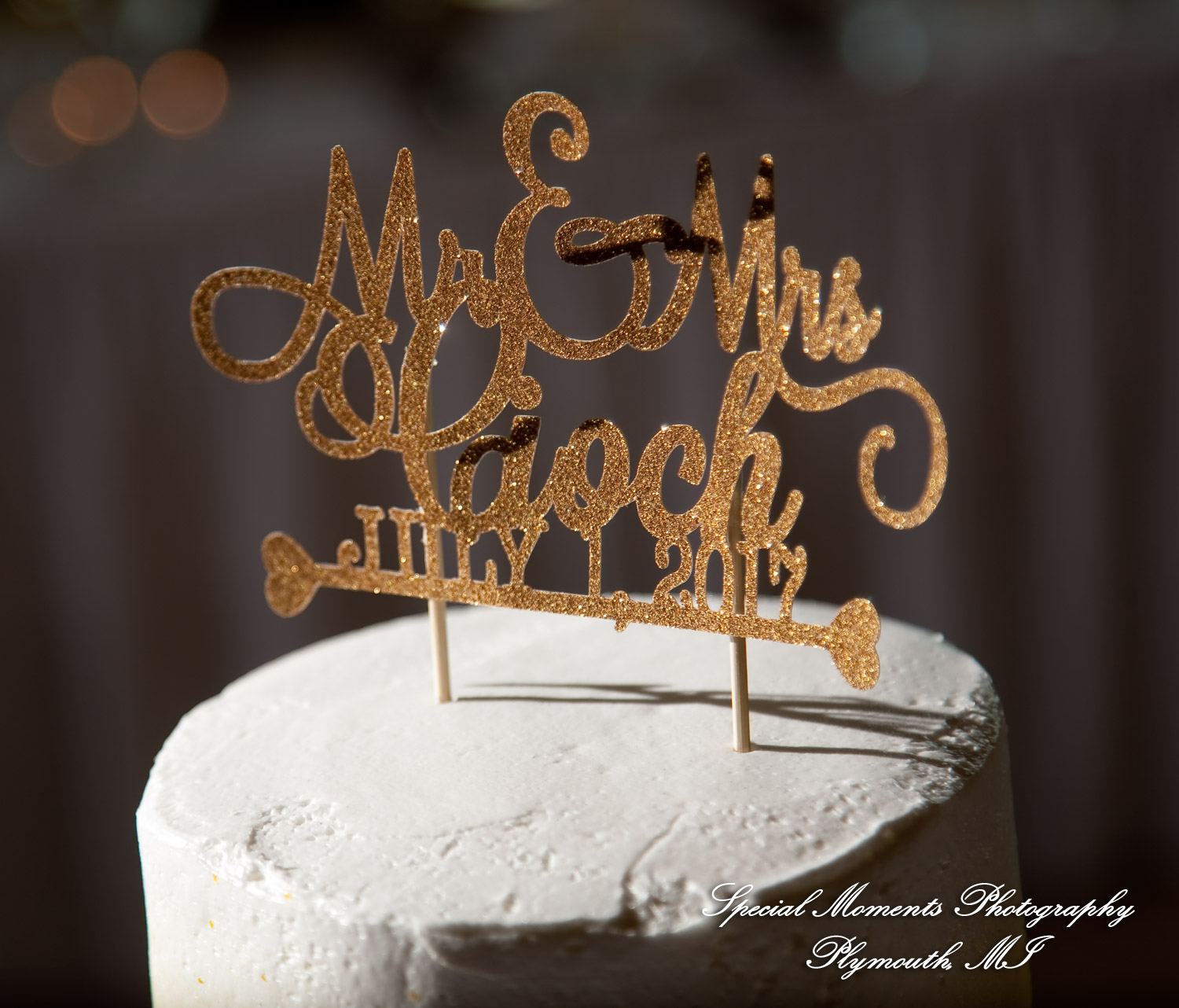 Kelly & Ryan at Italian American Club Livonia MI wedding photograph