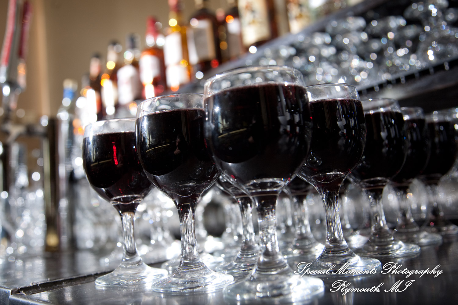 Kelly & Ryan at Italian American Club Livonia MI wedding photograph