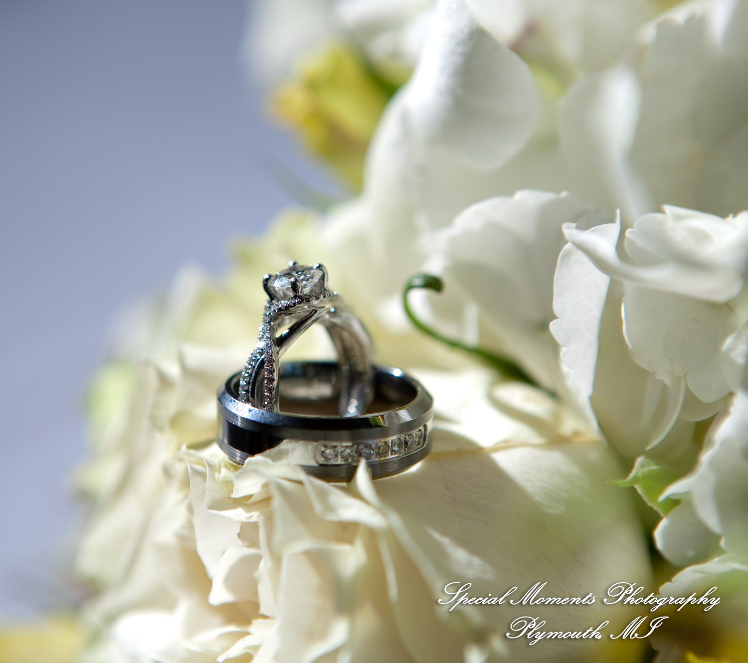 Kelly & Ryan at Italian American Club Livonia MI wedding photograph