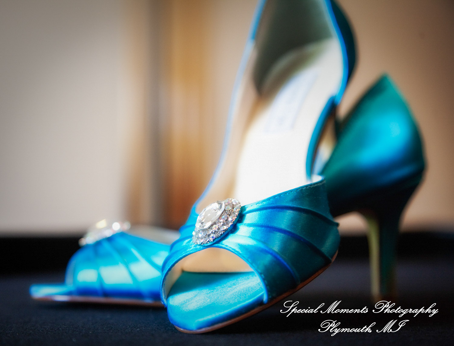 Erica & Jim at home wedding on the Lake in New Hudson MI wedding photograph