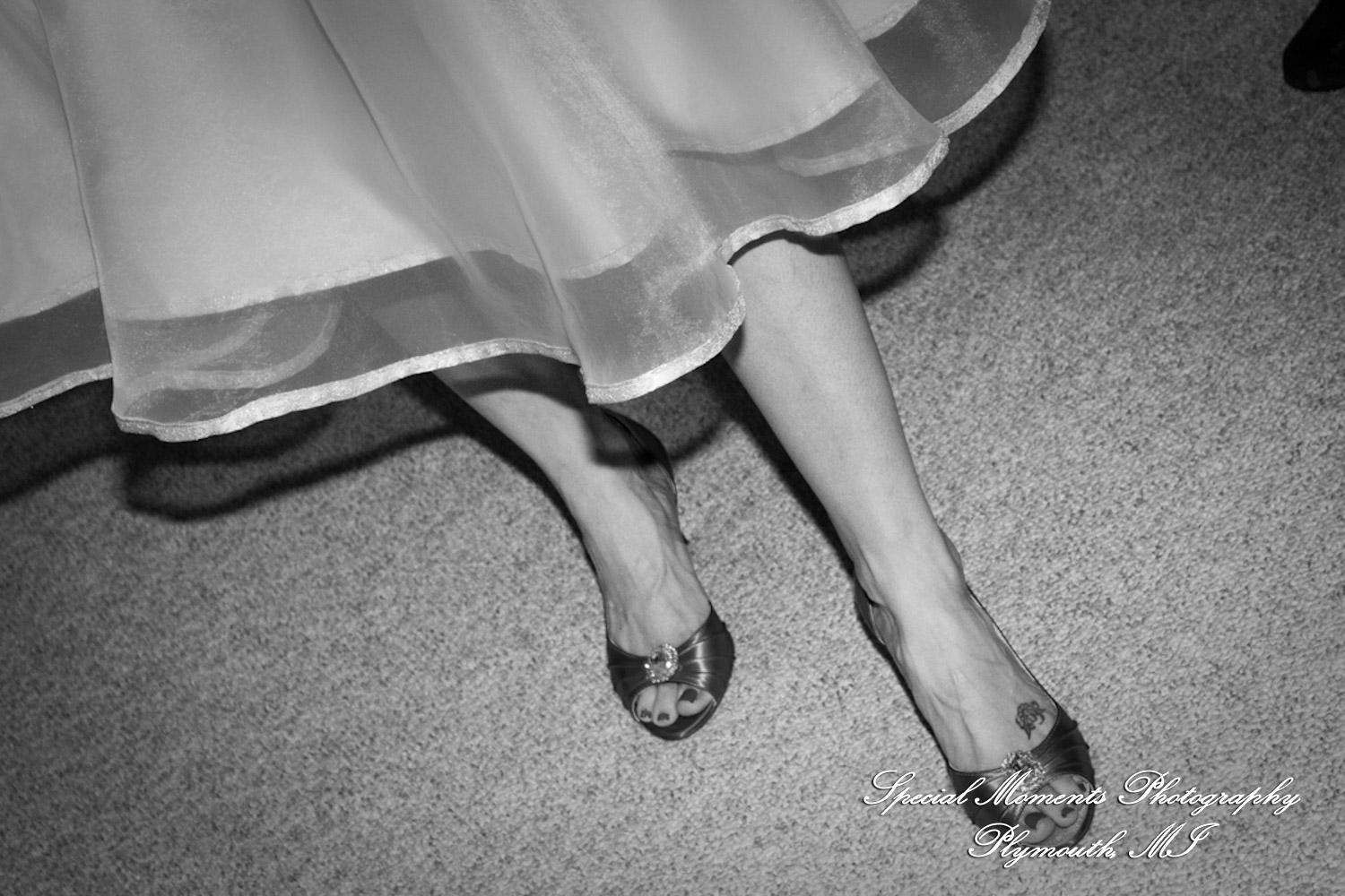 Erica & Jim at home wedding on the Lake in New Hudson MI wedding photograph