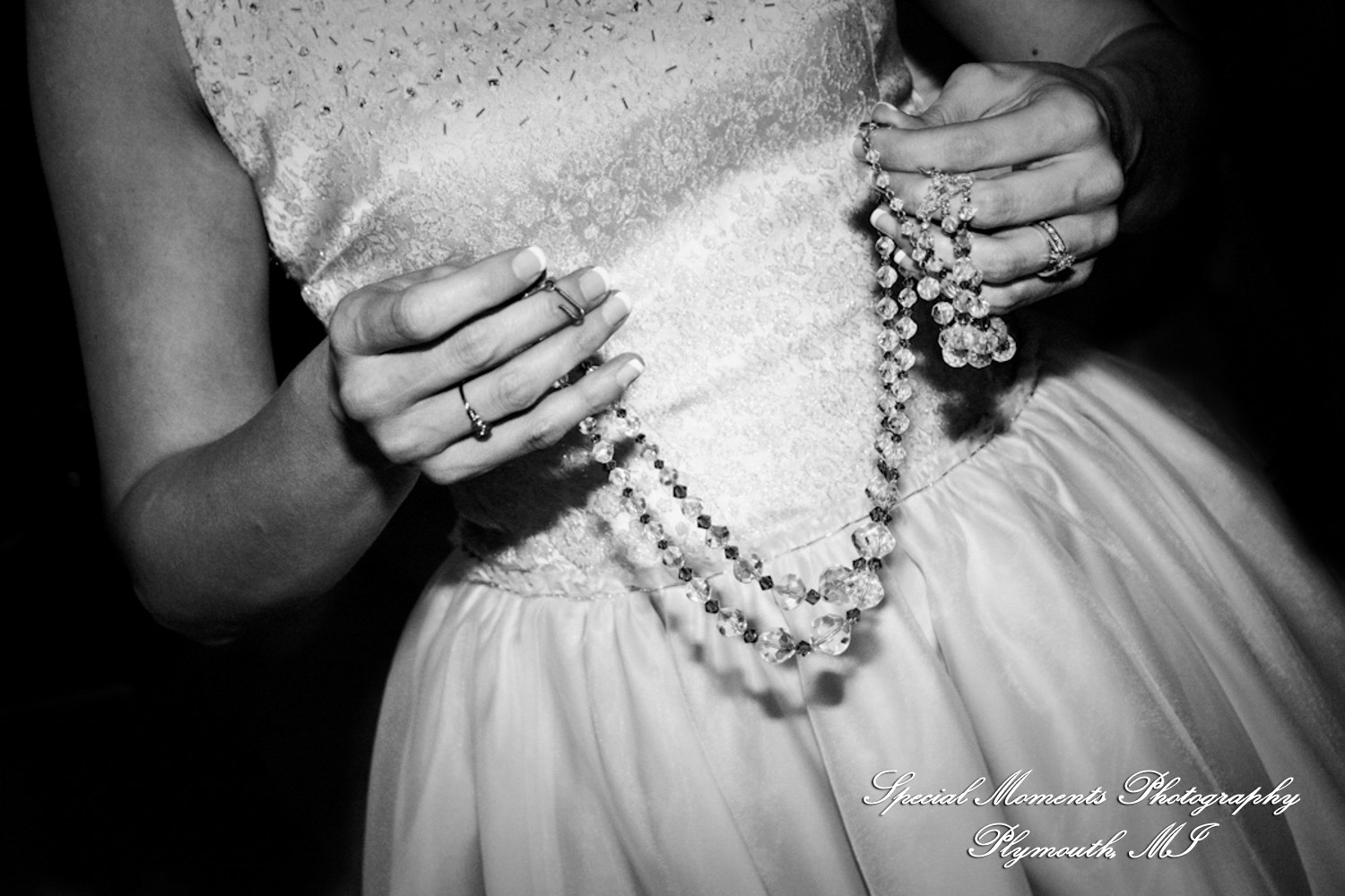 Erica & Jim at home wedding on the Lake in New Hudson MI wedding photograph