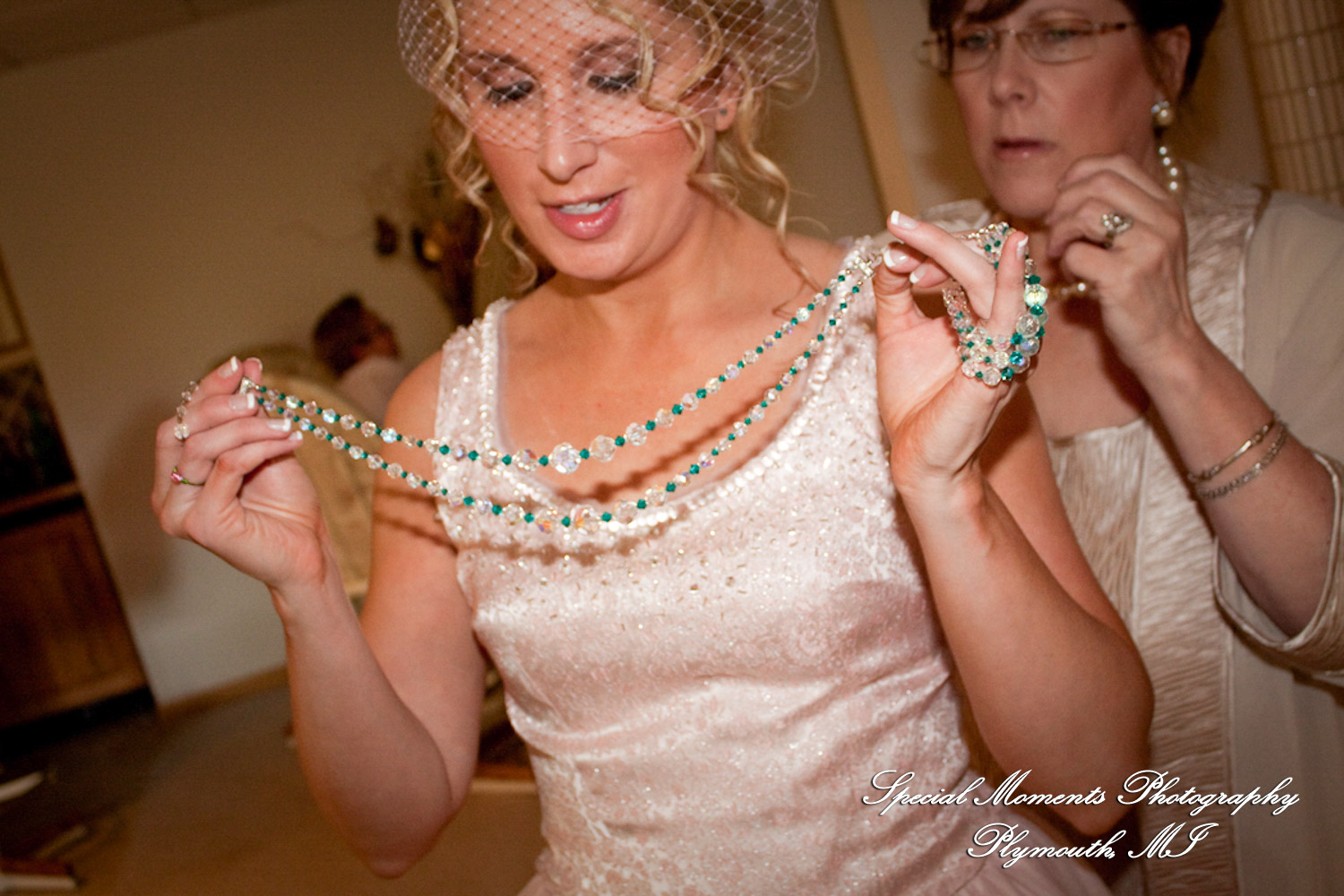 Erica & Jim at home wedding on the Lake in New Hudson MI wedding photograph