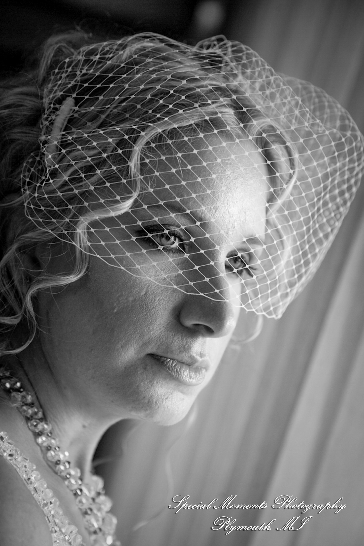 Erica & Jim at home wedding on the Lake in New Hudson MI wedding photograph