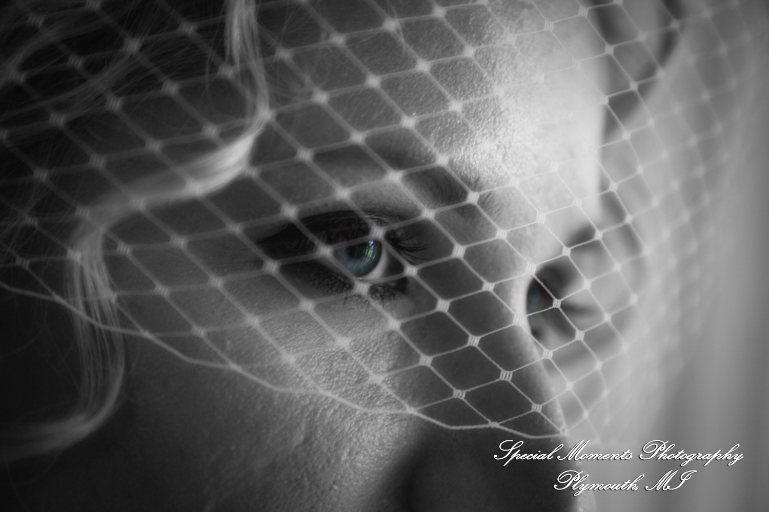 Erica & Jim at home wedding on the Lake in New Hudson MI wedding photograph