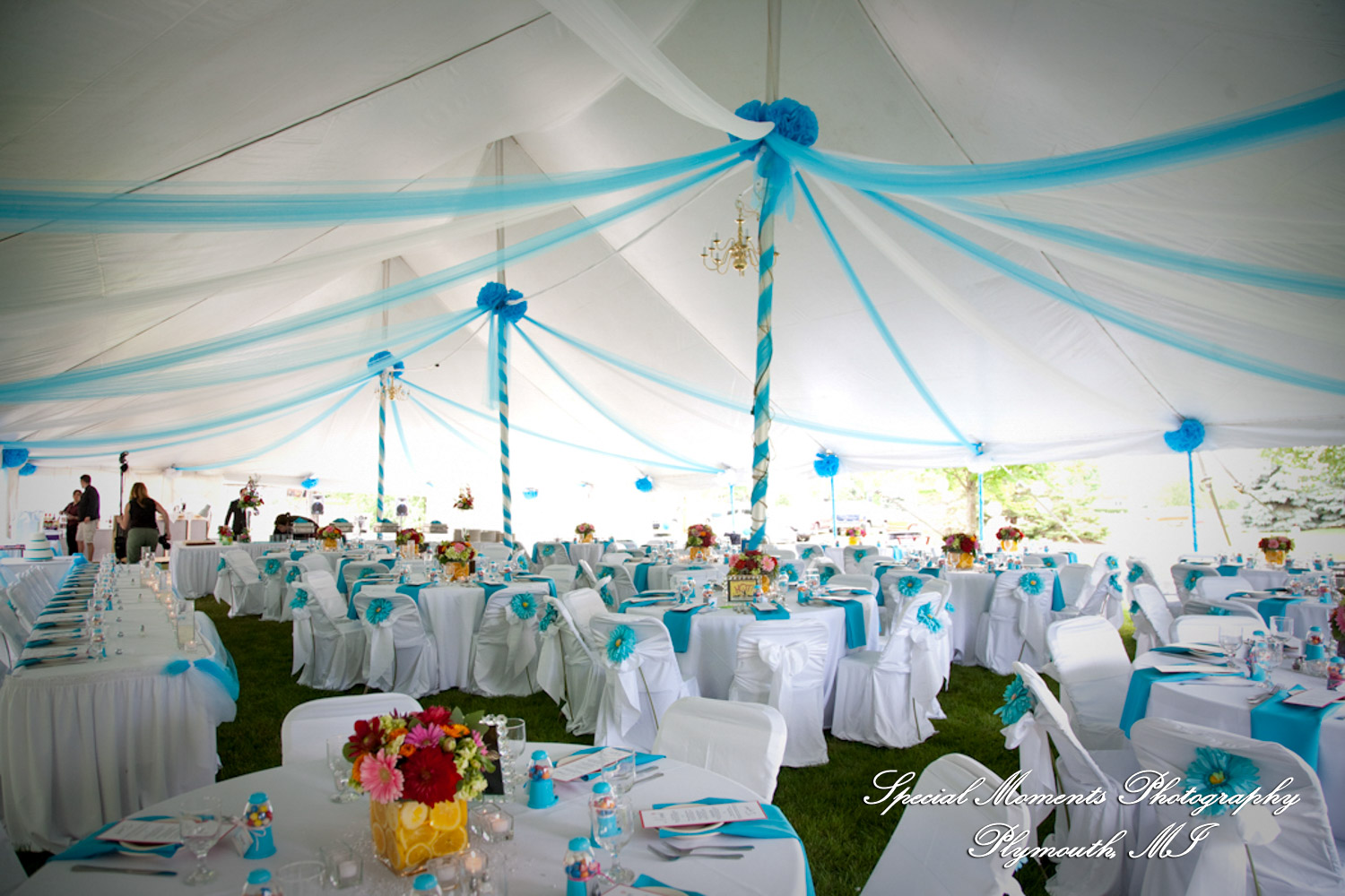 Erica & James at home backyard Tent Reception New Hudson MI wedding photograph