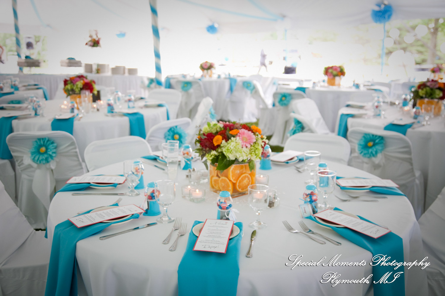 Erica & James at home backyard Tent Reception New Hudson MI wedding photograph