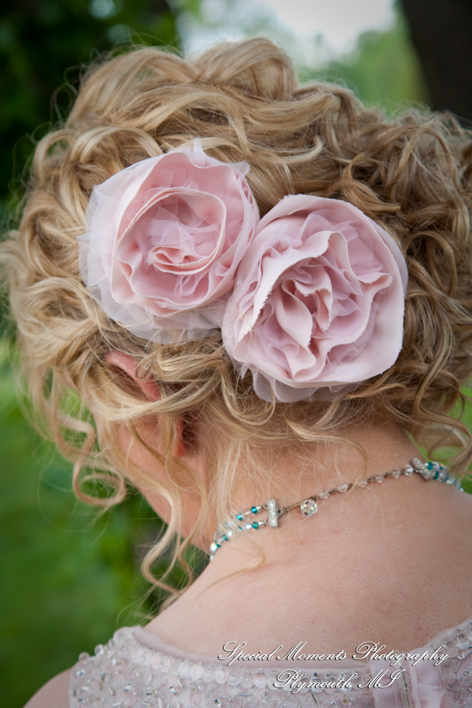Erica & James at home backyard Tent Reception New Hudson MI wedding photograph