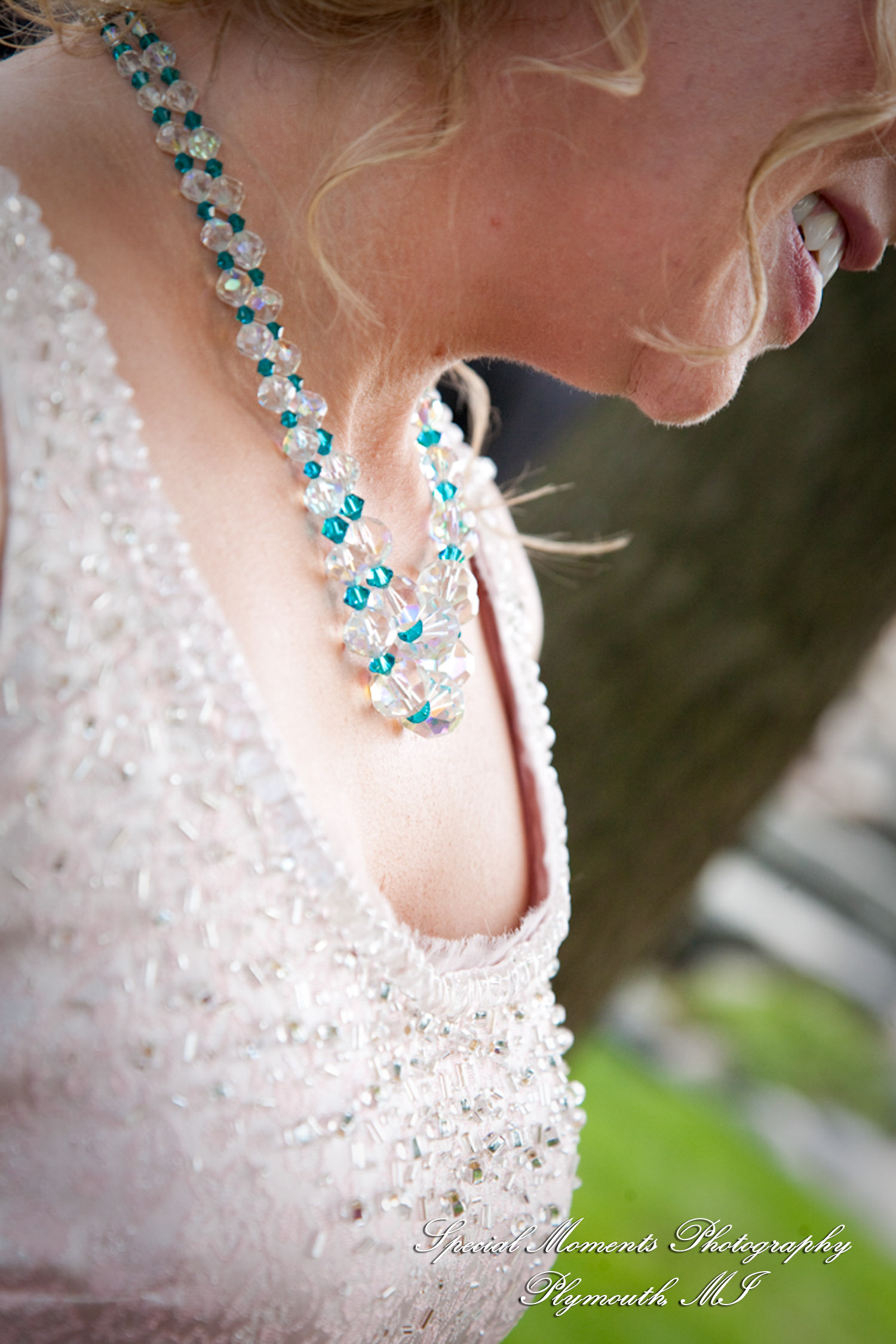 Erica & James at home backyard Tent Reception New Hudson MI wedding photograph