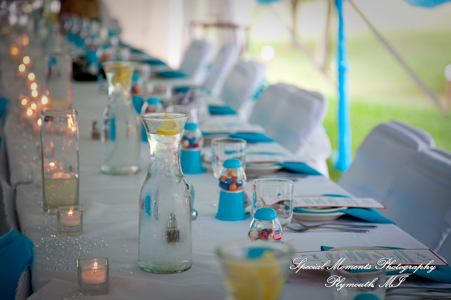 Erica & James at home backyard Tent Reception New Hudson MI wedding photograph
