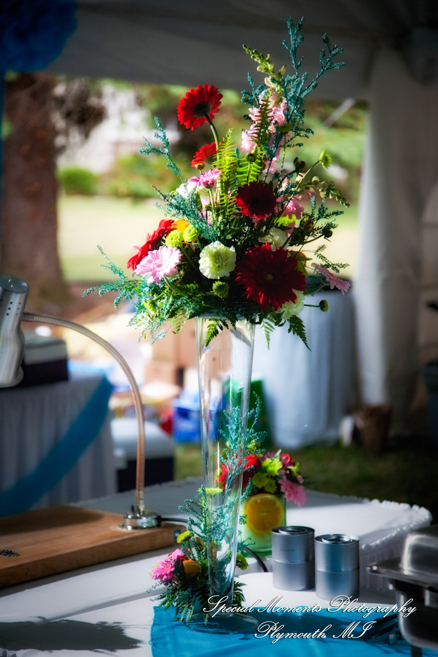 Erica & James at home backyard Tent Reception New Hudson MI wedding photograph