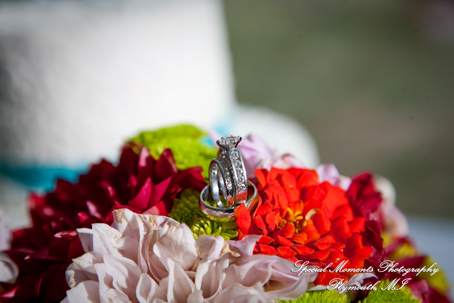 Erica & James at home backyard Tent Reception New Hudson MI wedding photograph
