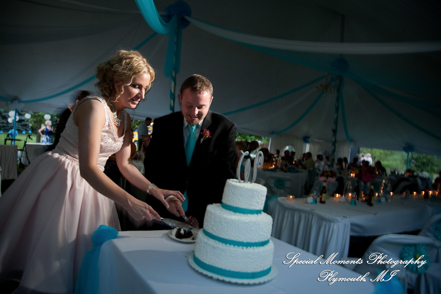 Erica & James at home backyard Tent Reception New Hudson MI wedding photograph