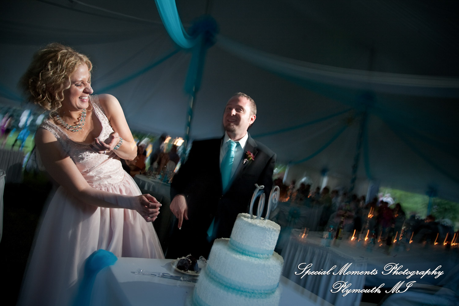 Erica & James at home backyard Tent Reception New Hudson MI wedding photograph