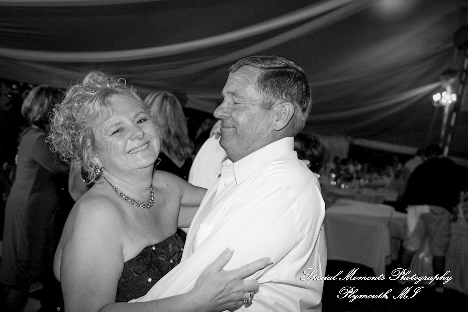 Erica & James at home backyard Tent Reception New Hudson MI wedding photograph